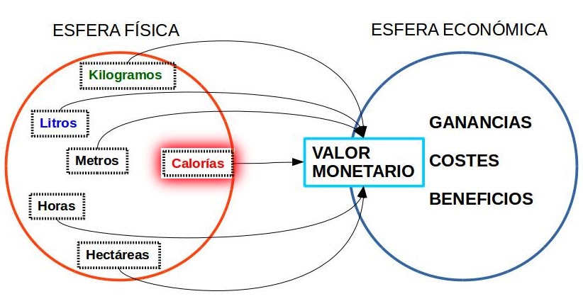 Crema para frank suarez metabolismo