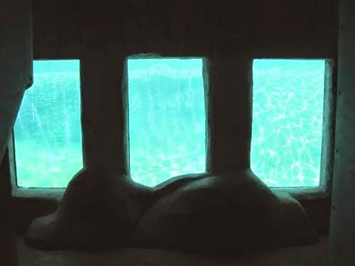 Polar Bear Underwater Viewing