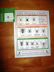 Spiders of the USA match up