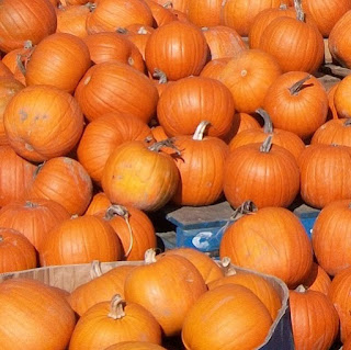 A Word From Aunt B: The Pumpkin Secret A Word From Aunt B: The Pumpkin Secret