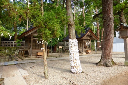 ศาลเจ้าอิซูโมะ (Izumo Shrine/ Izumo Grand Shrine) @ Japanese Language & Culture