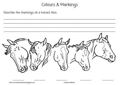 Iman's Home-School: Horses Notebook & Activity Pack