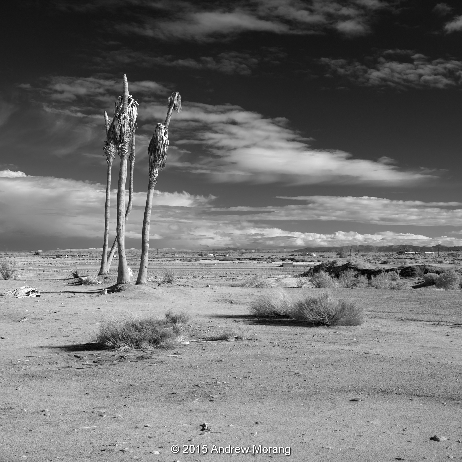 Urban Decay Salton City, CA The Party Where No One Came