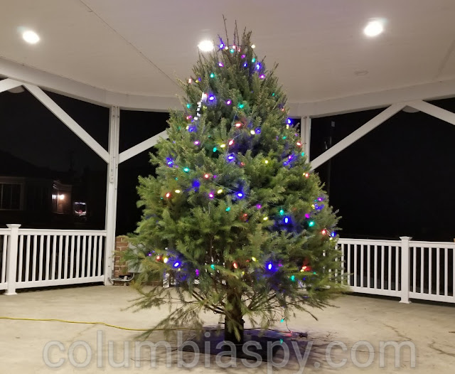 Christmas trees back up and running Columbia Spy