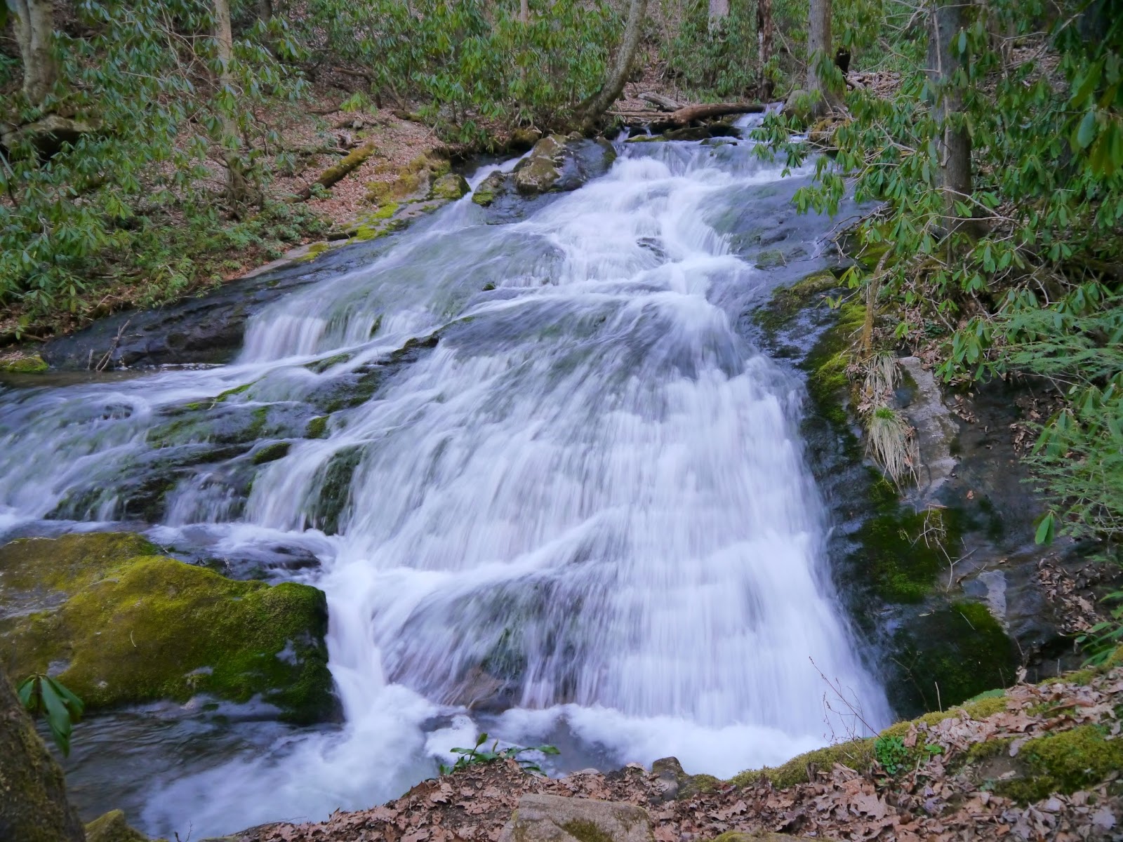 American Travel Journal: Chasteen Creek Cascade - Great Smoky Mountains