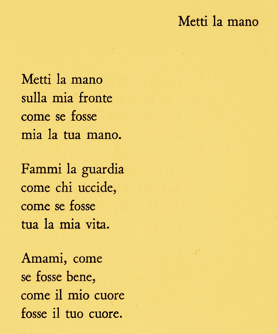Poesie Sulle Rose Di Poeti Famosi