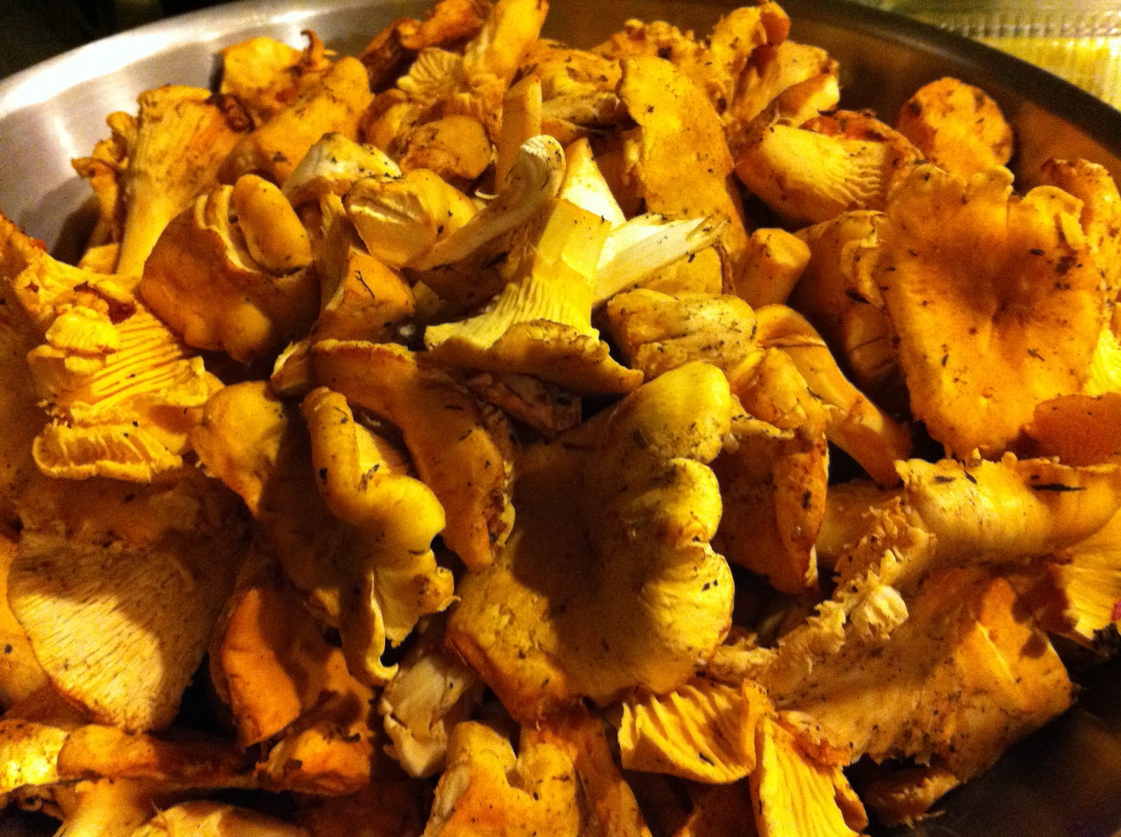 Taste Like Chicken What's Mike Cooking? Chanterelle Pate, Mushrooms