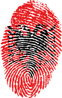 Albania / Flag