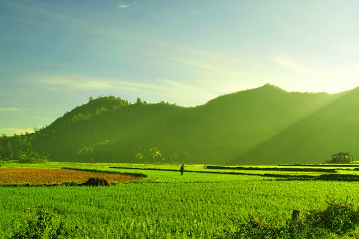 89+ Gambar Alam Pagi Yg Indah Kekinian 89+ Gambar Alam Pagi Yg Indah Kekinian