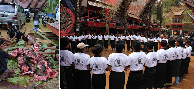 Día 11 - 27 Nov. Rantepao "Tana Toraja" (Funeral Toraja y Kete Kesu) - Indonesia en 23 días, Nov-Dic 2012 (6)