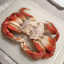 Oregon Coast Crab
