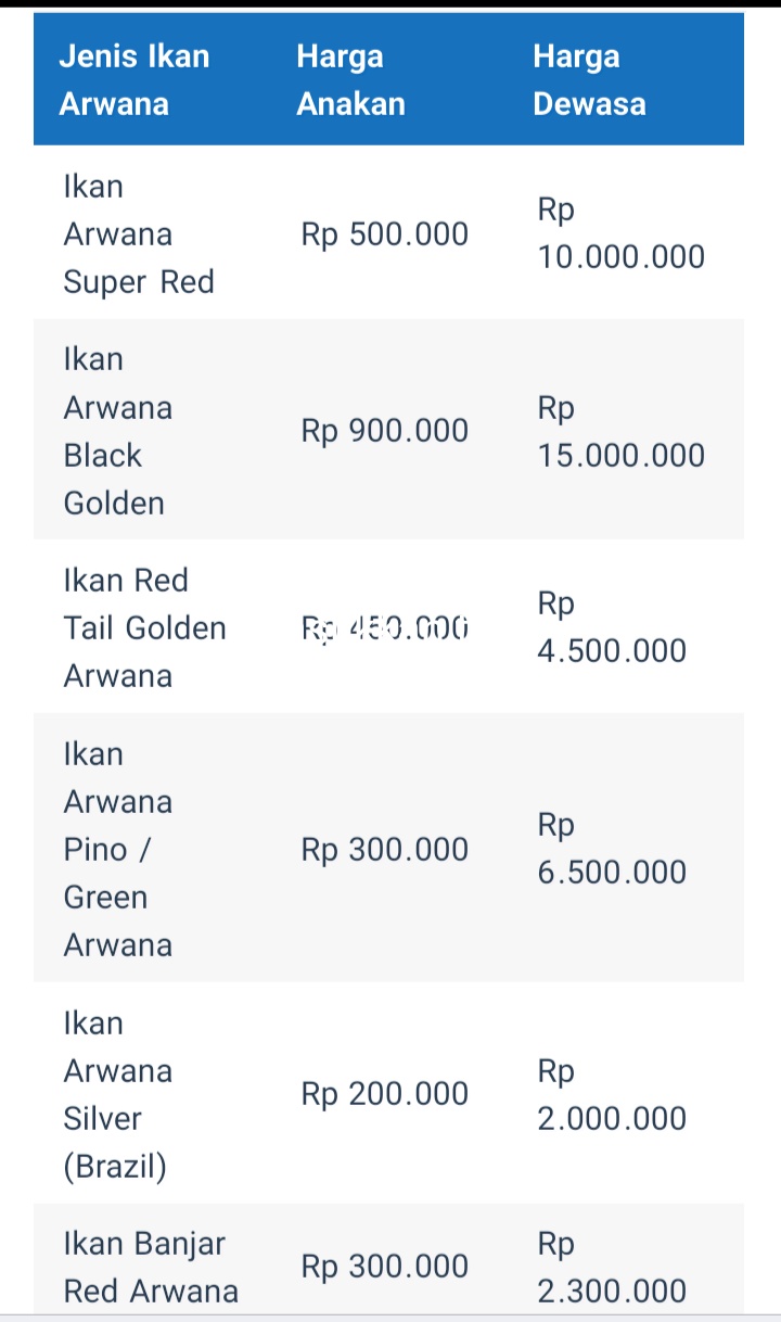 Cara Budidaya Ikan Arwana FOURWEDHE