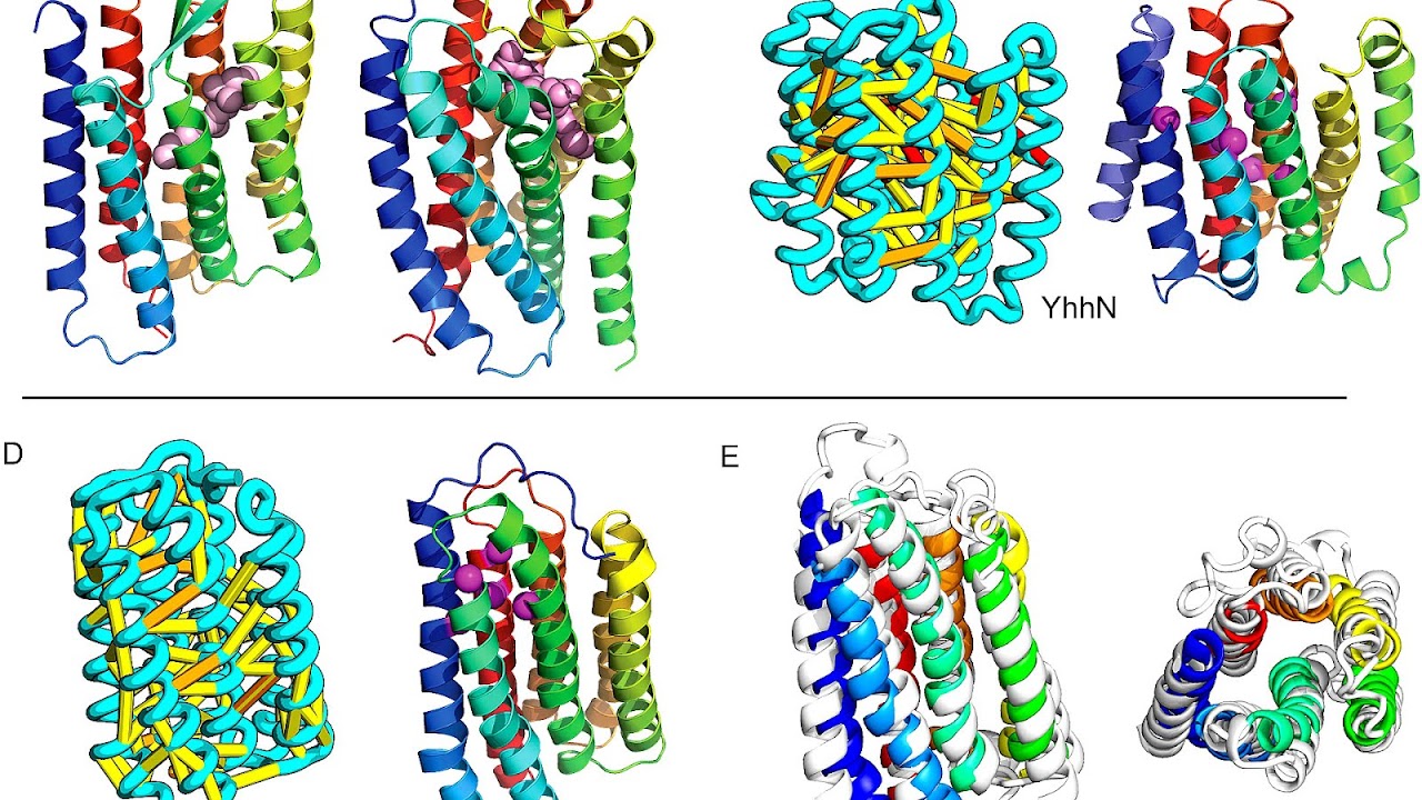 What Is The Structure Of Proteins Protein Choices
