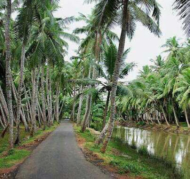 എന്‍റെ നൊസ്റ്റാള്‍ജിയ