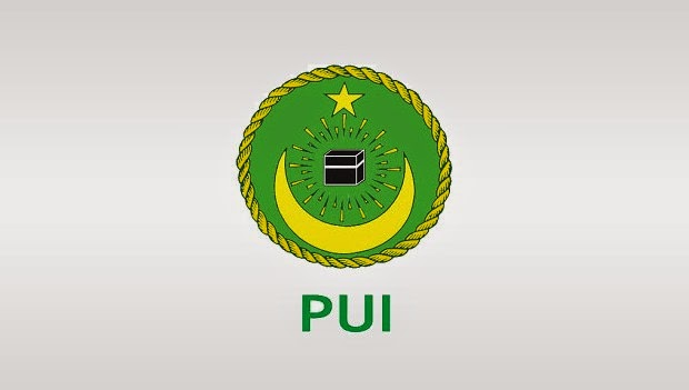 Organisasi Islam di Indonesia, Persatuan Umat Islam (PUI)