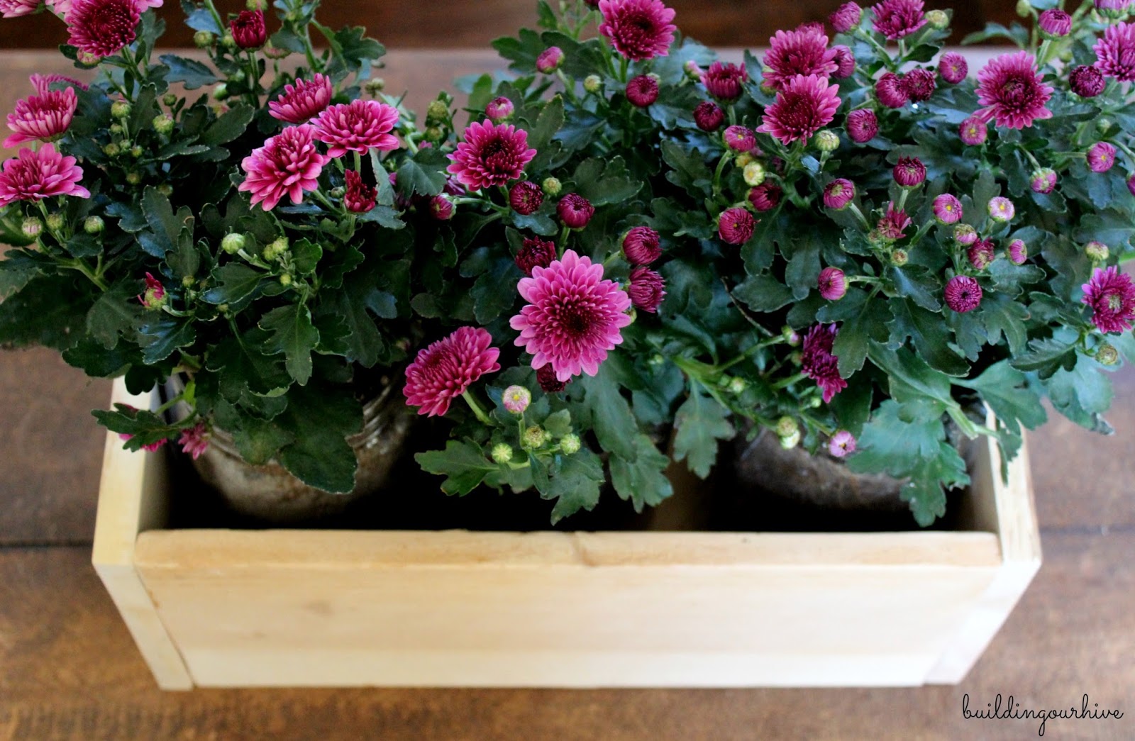 Rustic Wood Box, Mason Jars & Mums