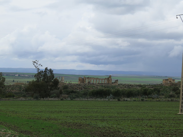 Sitio de Volubilis