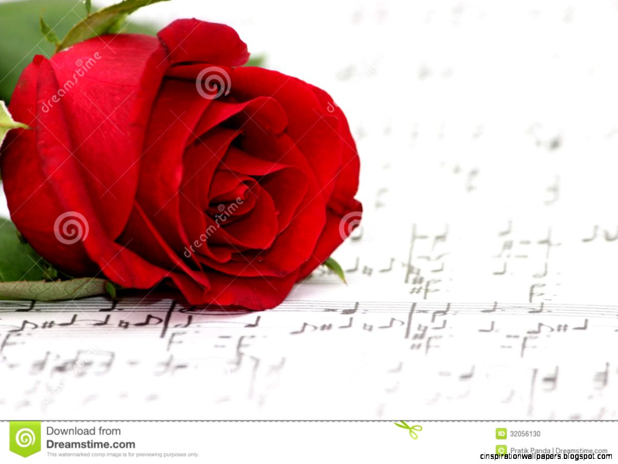 Romantic Music Rose Piano Sheet Stock Photo   Image 32056130