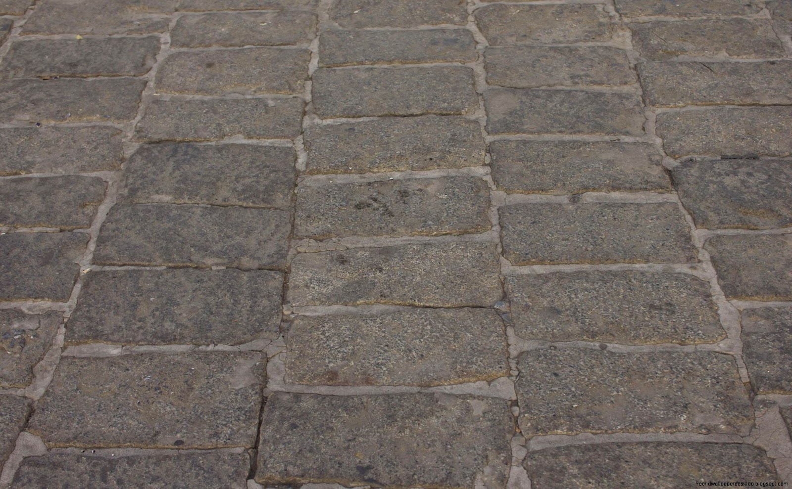 Gray Stone Floor Tile