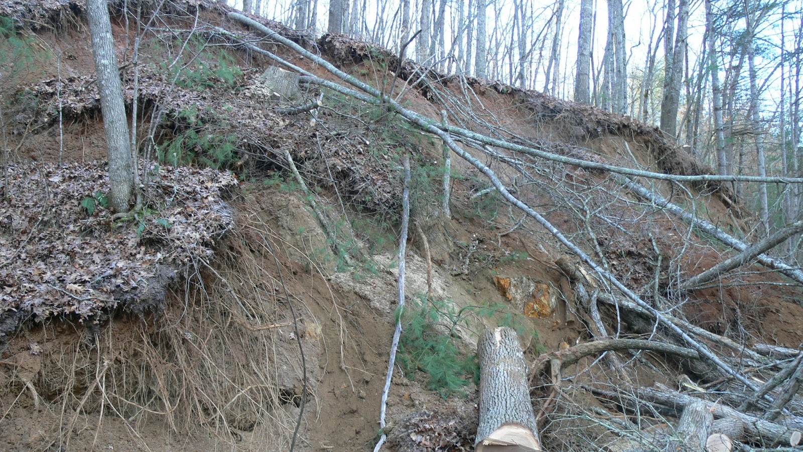 A look at the landslide