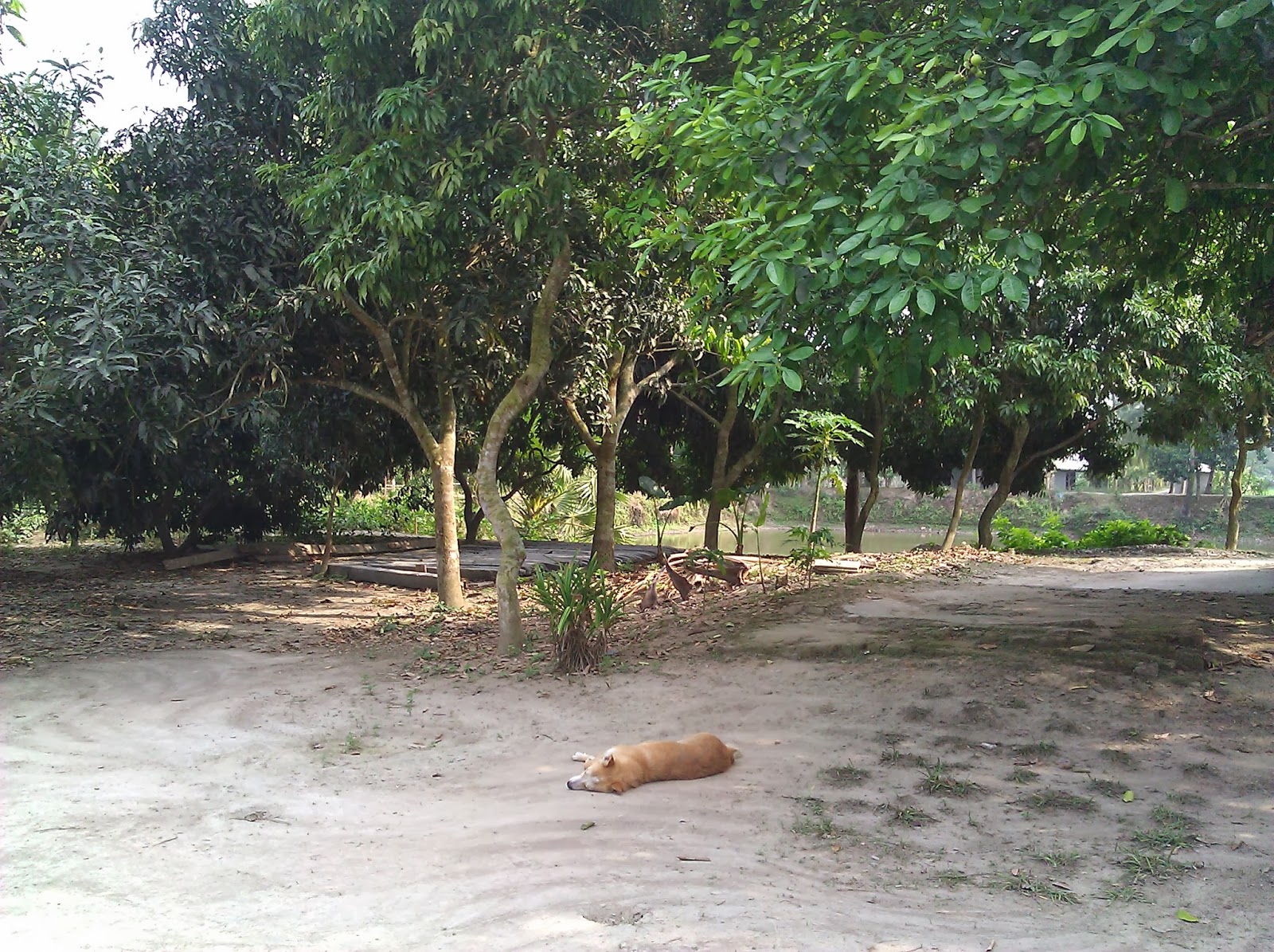 News Dohar Nawabgonj Dhaka Bangladesh Dhaka to Nawabganj distance