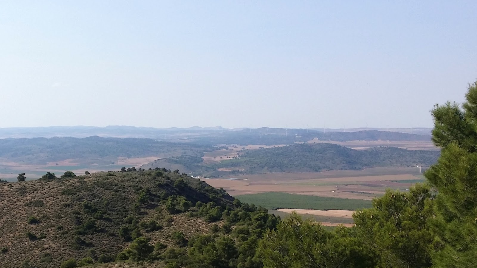alto hembra azotar en Albacete alto hembra azotar en Albacete