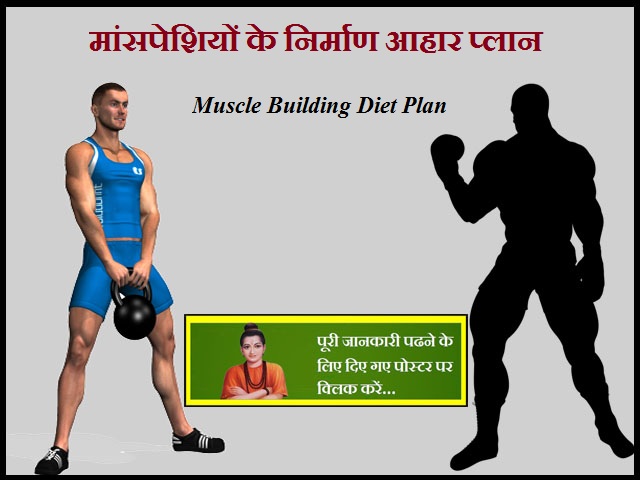 Muscle Building Diet Plan-मांसपेशियों के निर्माण आहार प्लान
