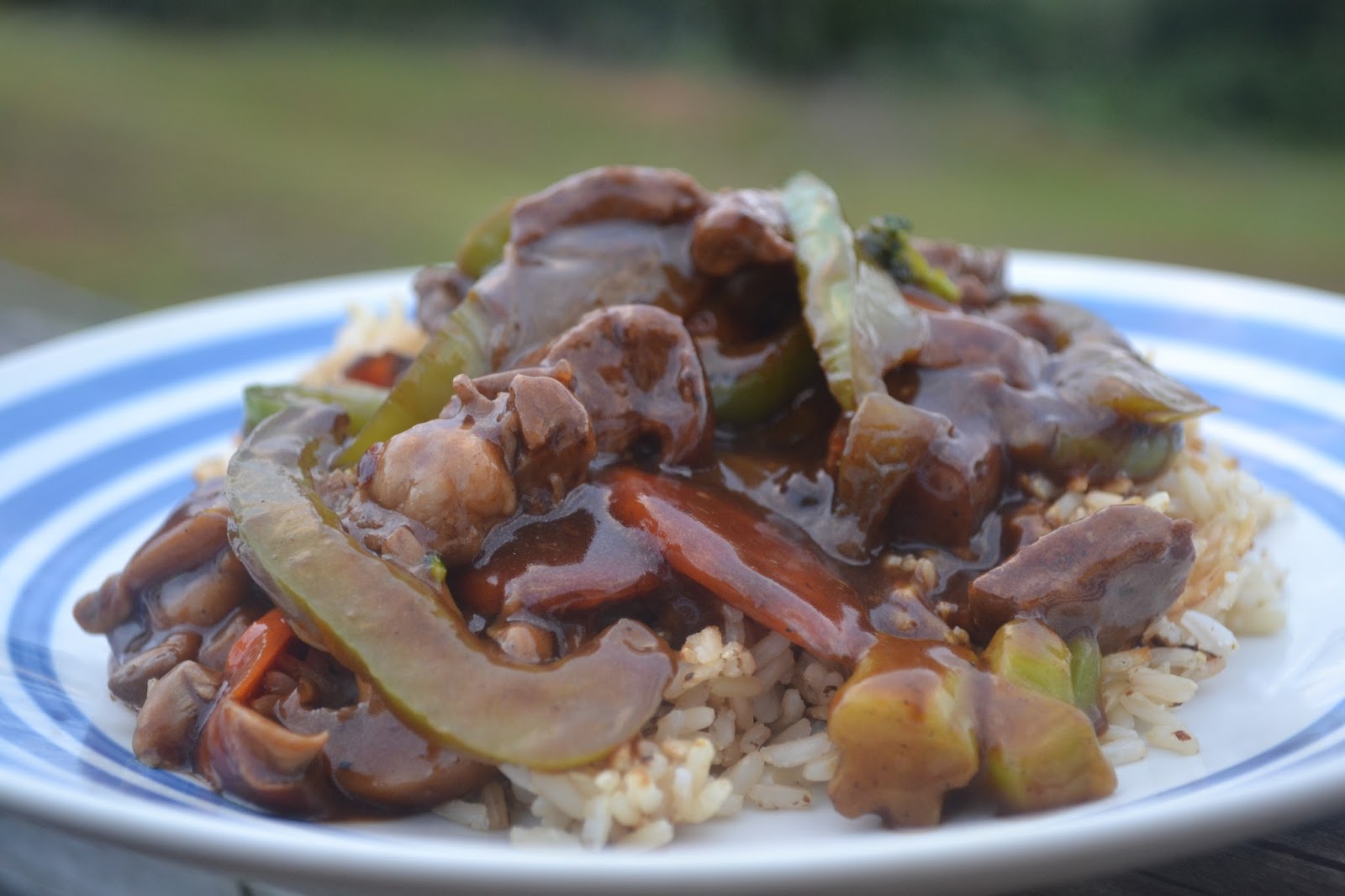Sizzling Bison Steak StirFry