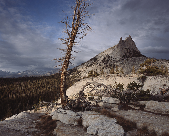 West Coast Imaging Blog WCI scans for John Muir Book