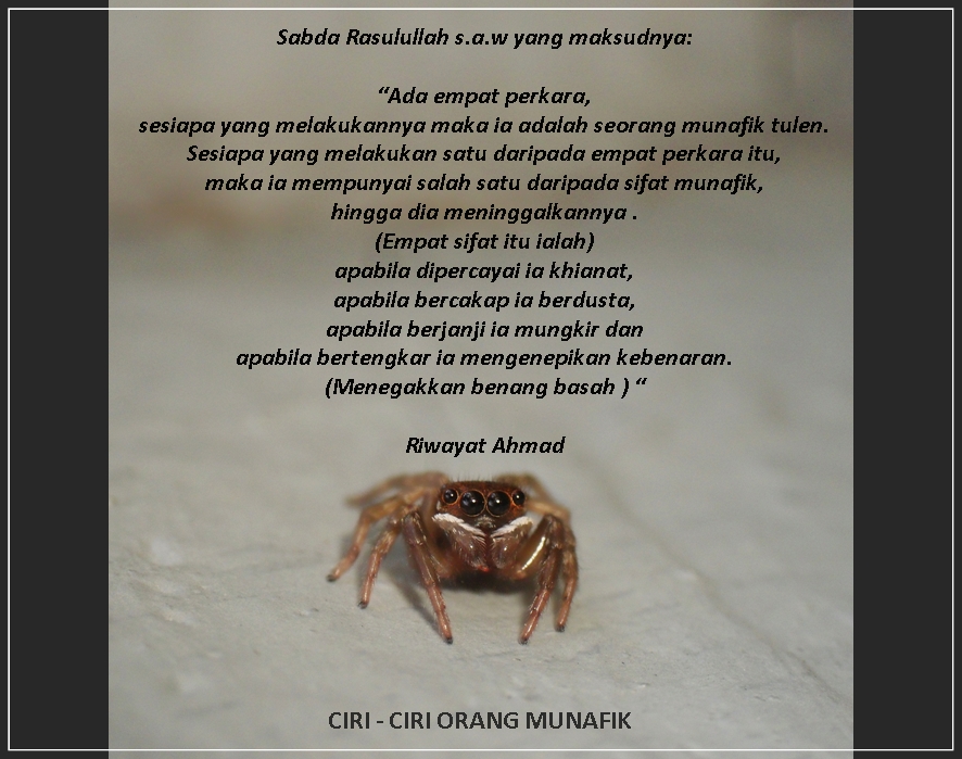 Ciri - Ciri Orang Munafik |.InsanMukminDotBlogspotDotCom....