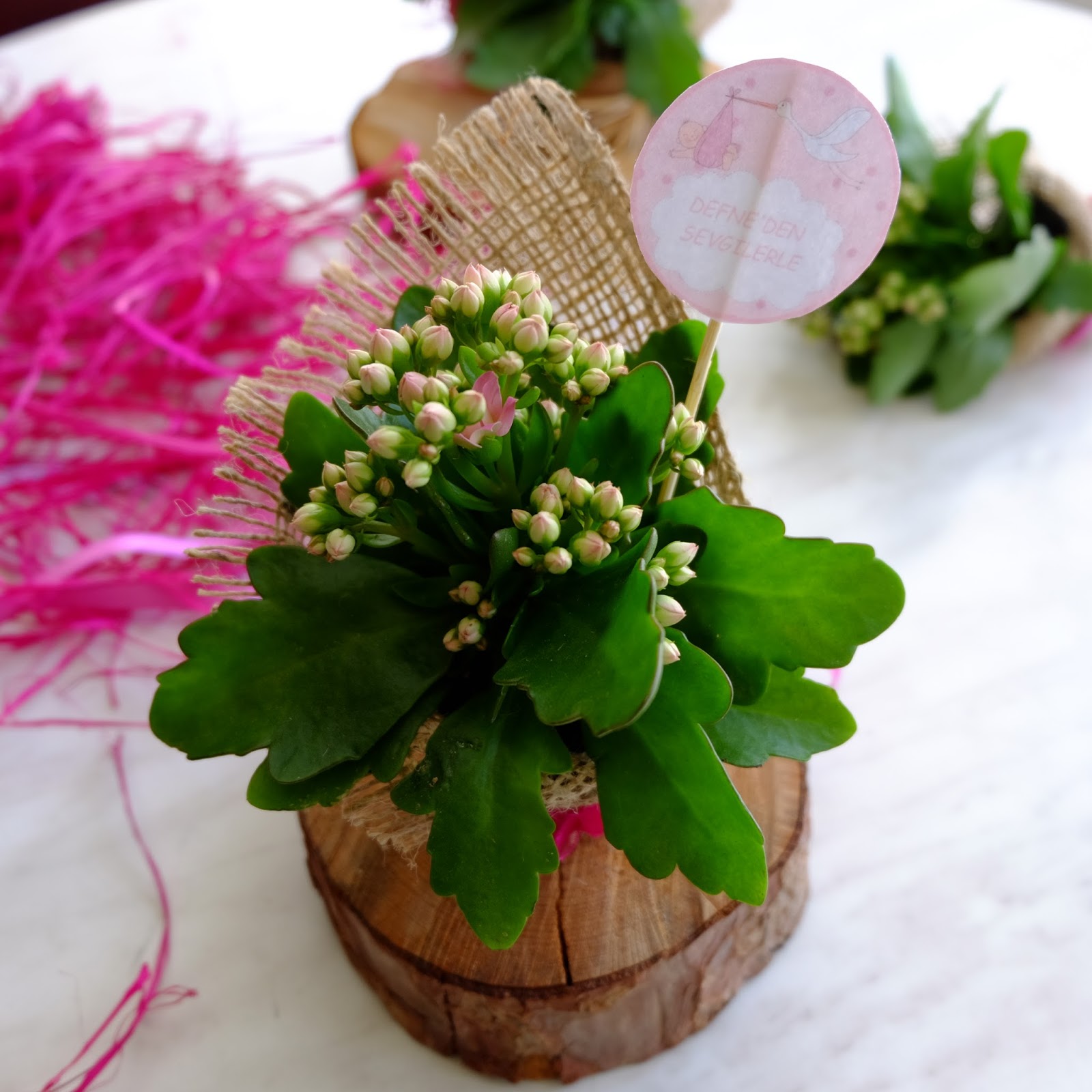 Yeni Doğan Bebek Hediyesi Hoşgeldin Defne! bir dik