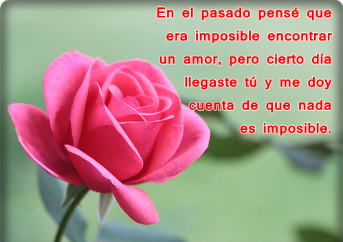 mensajes bonitos: Mensajes de amor con flores para compartir