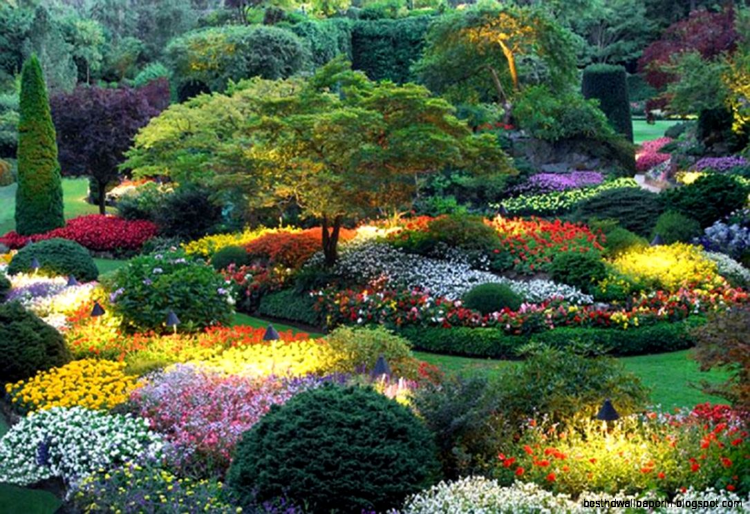 Beautiful Nature Flowers Garden Hd Images 3 HD Wallpapers