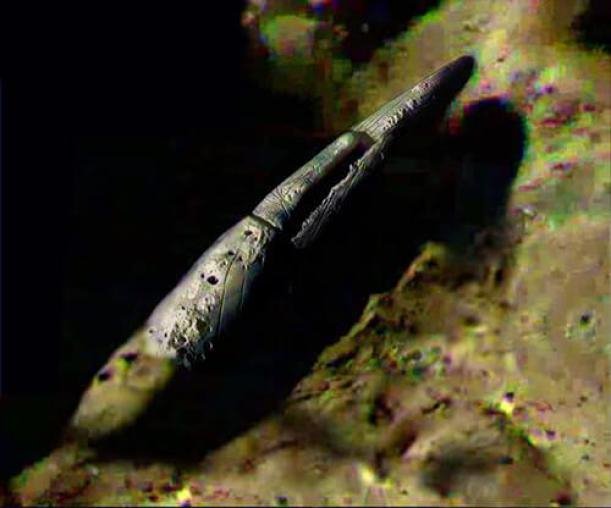 Bí mật của Apollo 20: Phát hiện tàu vũ trụ khổng lồ và cô gái ngoài