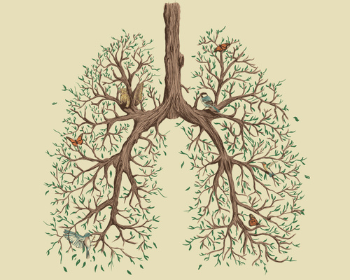 Le massage en images - A massagem em imagens: On Lungs as trees and  foliage, and the discussions on cough in Classical Chinese Medicine