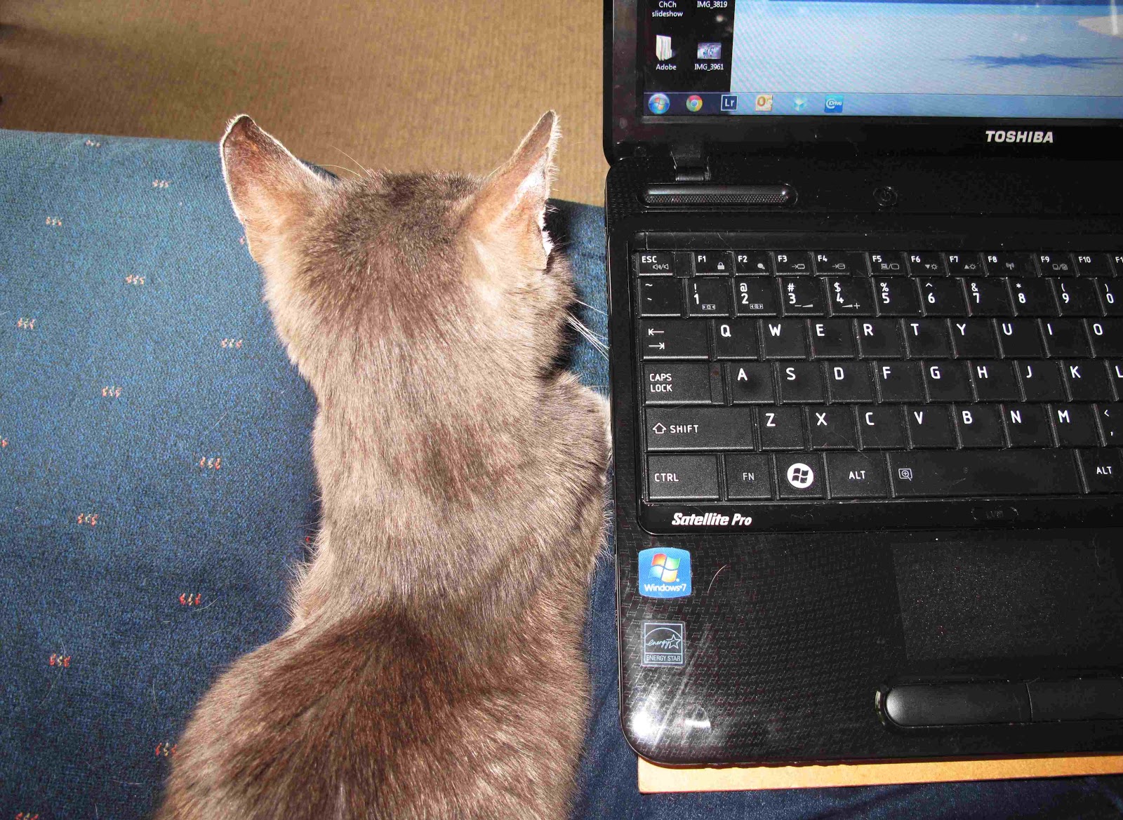 TravelSkite: My leg is cold...