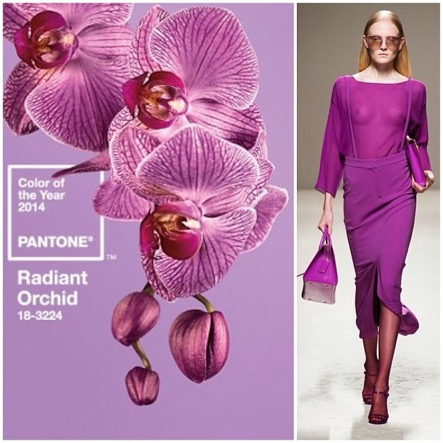 ByElisabethNL: Pantone' s 2014 Color of the Year: Radiant Orchid