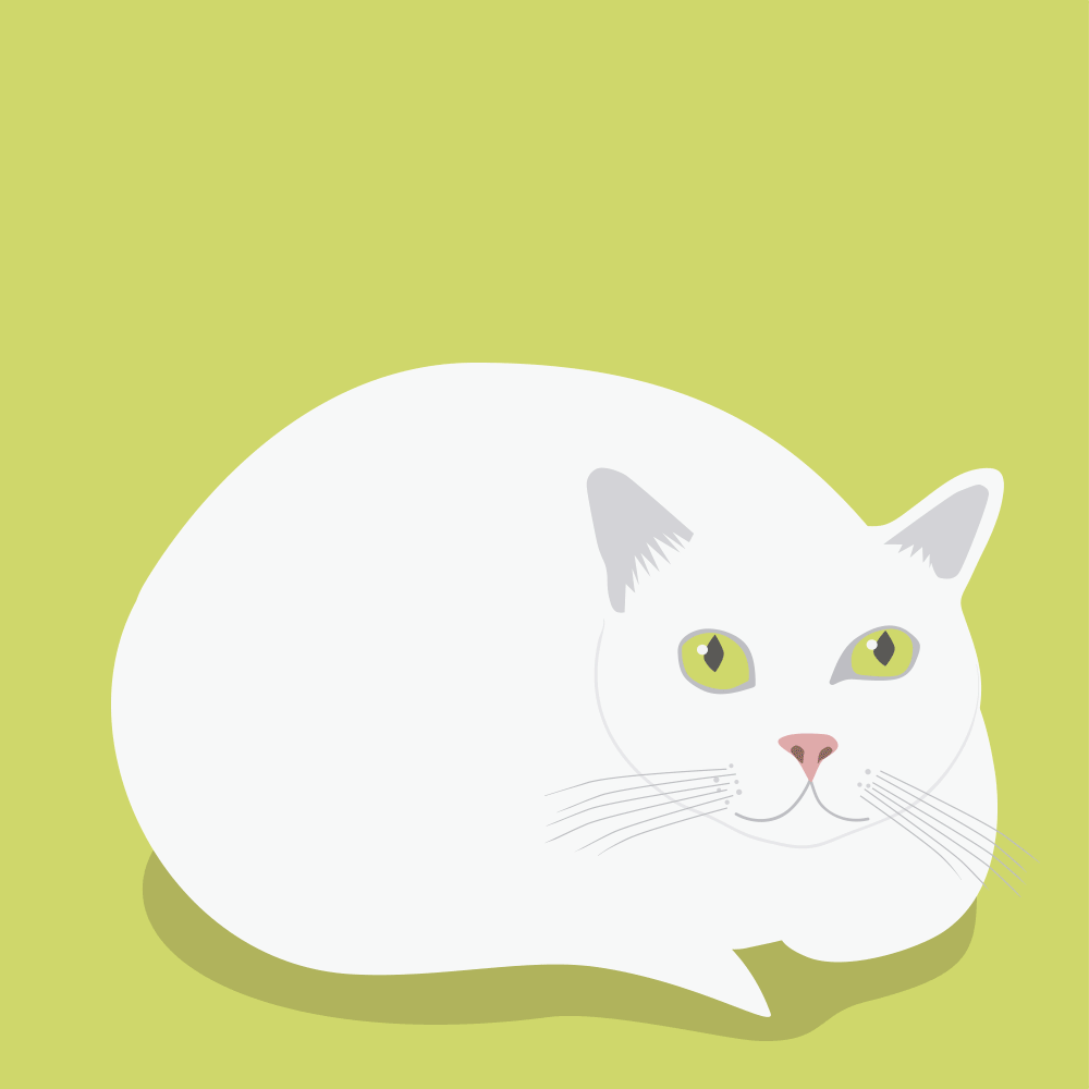 Flopsock Designs Comfortable Cat Birthday Card