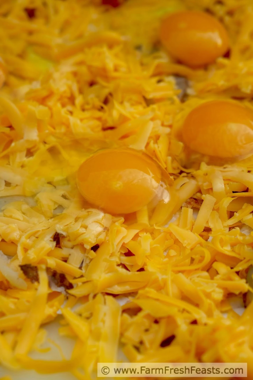 Farm Fresh Feasts Bacon, Egg, and Potato Pizza