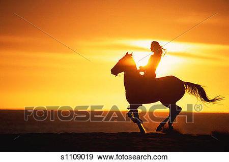 Cavalo cavalgando na bahia imagem editorial. Imagem de freio - 204124325