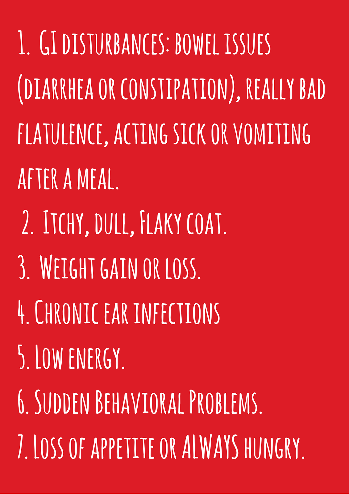 Bark City Doggy Daycare 7 Signs It's Time to Change Your Dog's Food