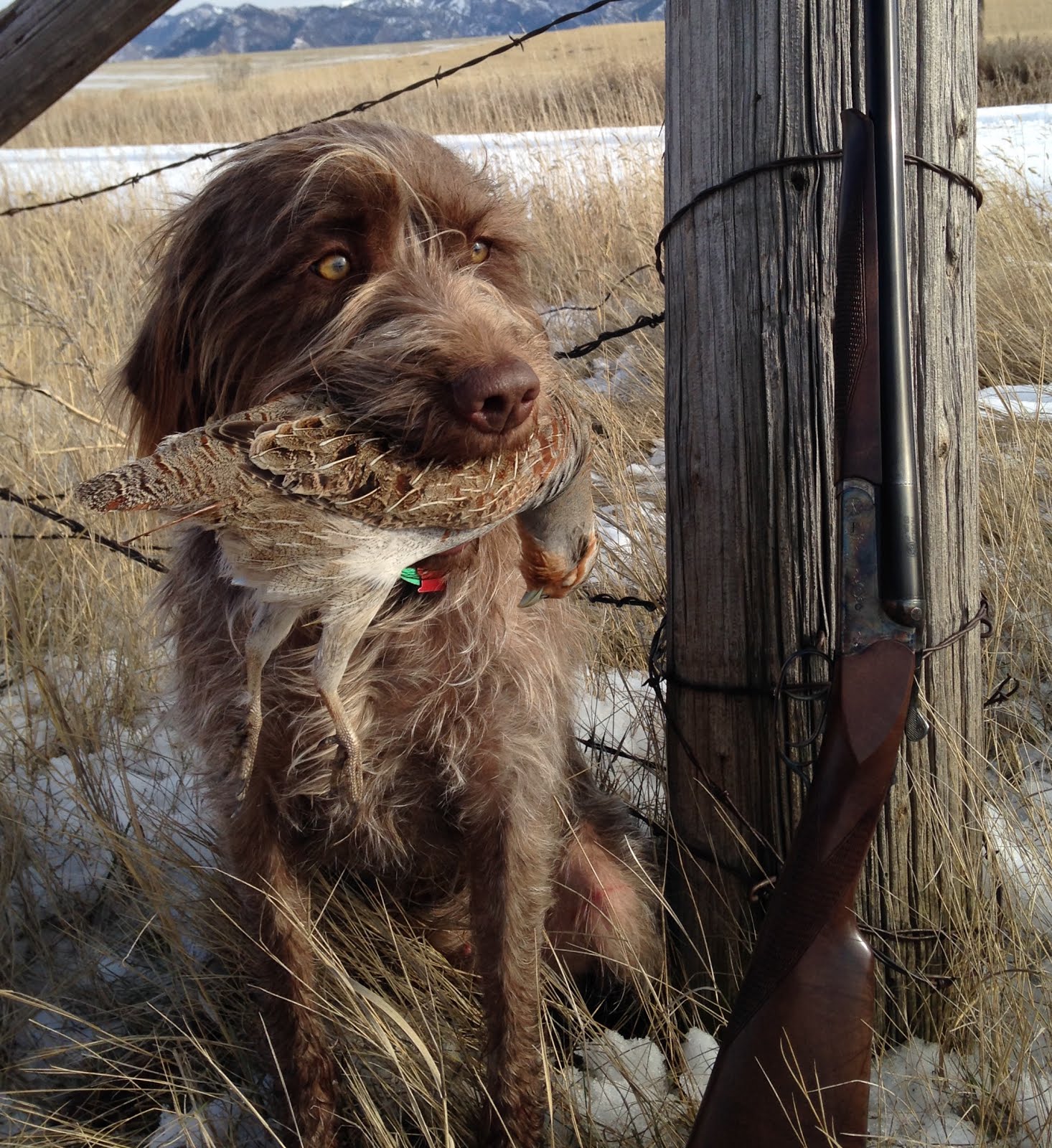 Broken Bow Kennels Badlands Upland Game Vest Review