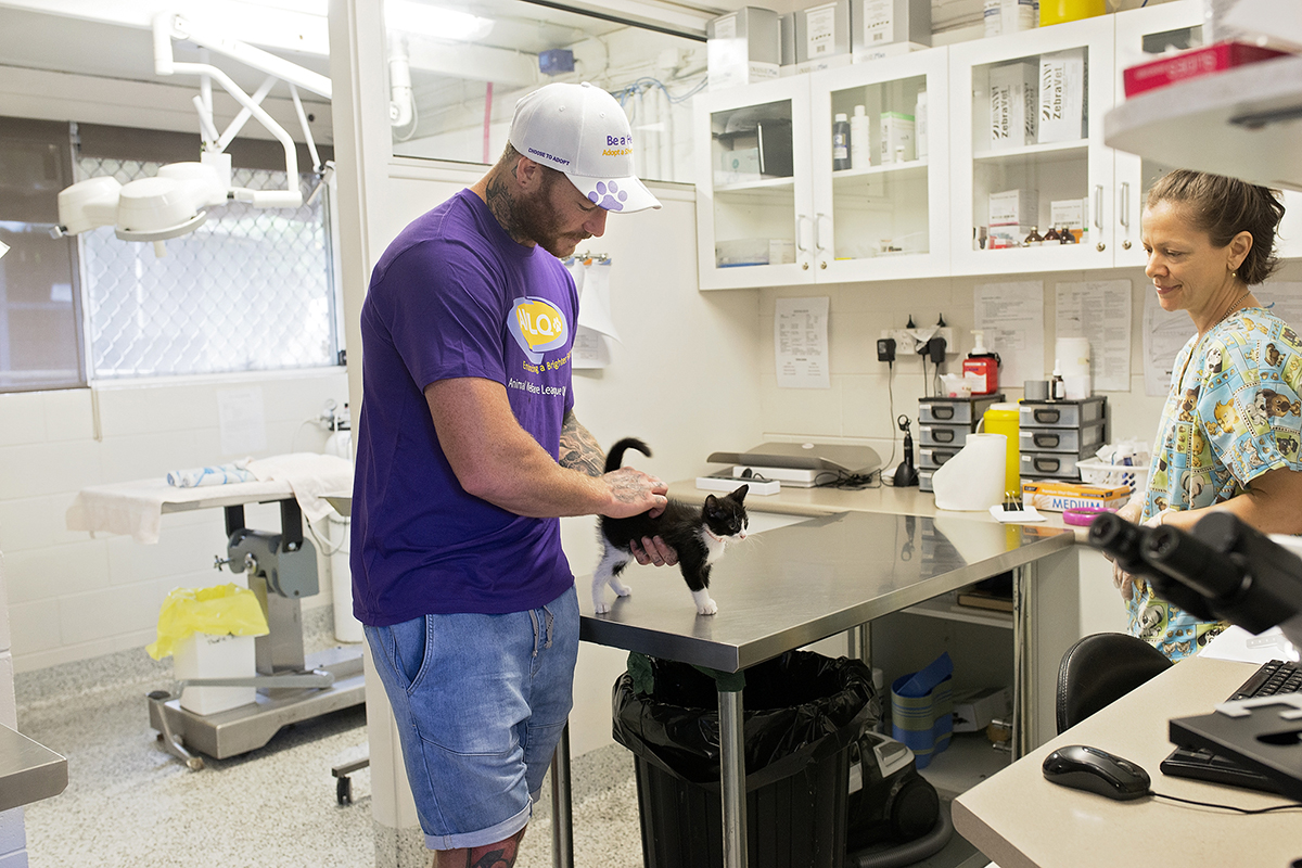 AWLQ Stray Animals Day Challenge April 4 Australian