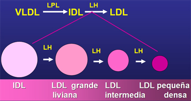 [Image: CalvoFigura3.jpg]