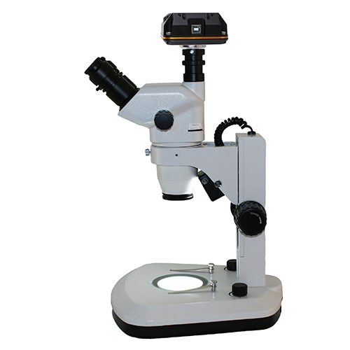 Microscope World Blog Stereo Zoom Embryo Microscopes