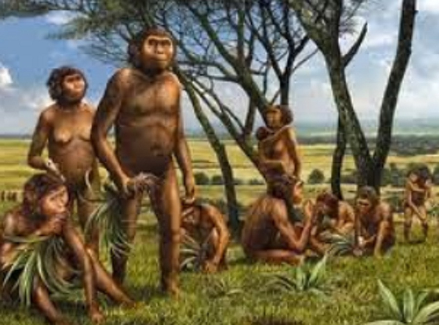 Pengertian Zaman Tersier Dan Kuarter Beserta Ciri Cirinya Pengertian Zaman Tersier Dan Kuarter Beserta Ciri Cirinya