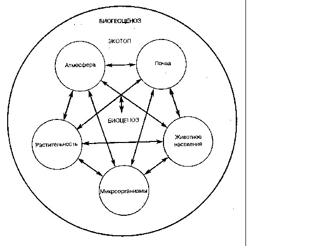 Схема взаимодействия компонентов экосистемы. Рассмотрите рисунок 70 придумайте схему иллюстрирующую взаимосвязь. Взаимосвязи клеток тканей и органов растения. Рассмотрите рисунок 70 придумайте схему иллюстрирующую взаимосвязь. Схема передвижения питательных веществ по растению.