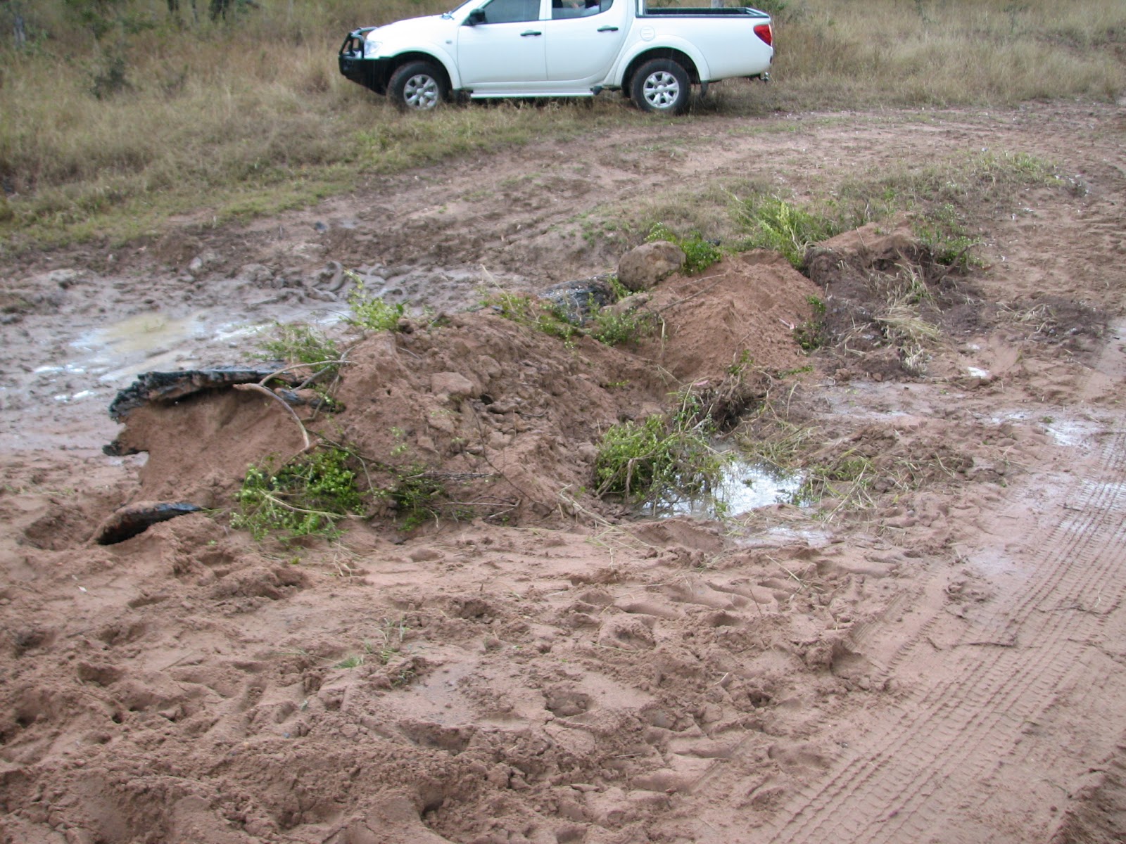Healthy Farming Healthy Food Leaky weirs