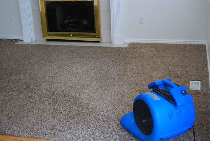 Alpine Professional Carpet Care CARPET CLEANING UTAH COUNTY