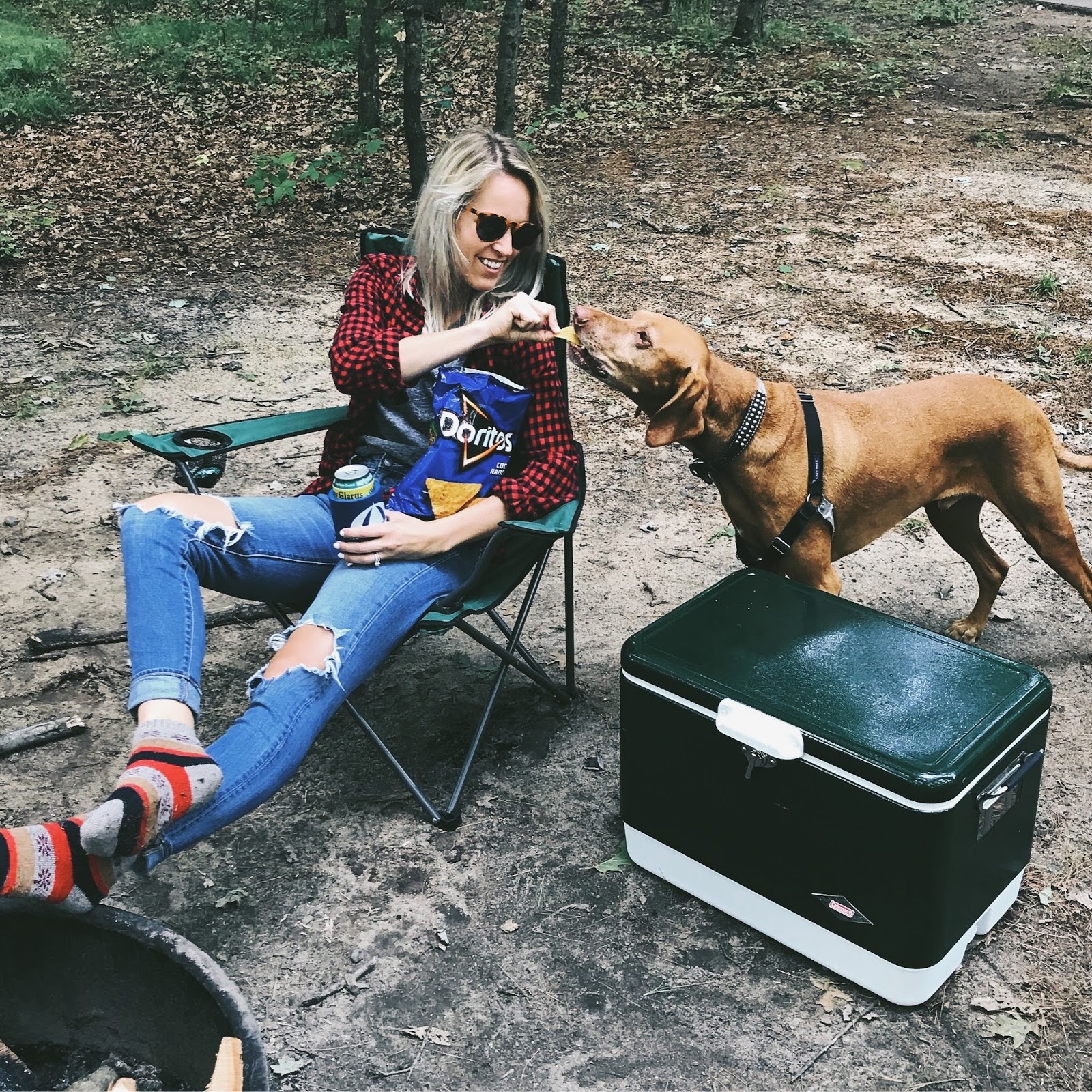 Harlow Goes Camping THE DAILY TAY